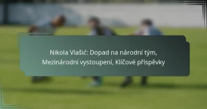 Nikola Vlašić: Dopad na národní tým, Mezinárodní vystoupení, Klíčové příspěvky