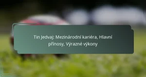 Tin Jedvaj: Mezinárodní kariéra, Hlavní přínosy, Výrazné výkony