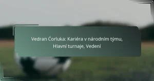 Vedran Ćorluka: Kariéra v národním týmu, Hlavní turnaje, Vedení