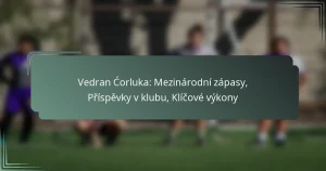 Vedran Ćorluka: Mezinárodní zápasy, Příspěvky v klubu, Klíčové výkony