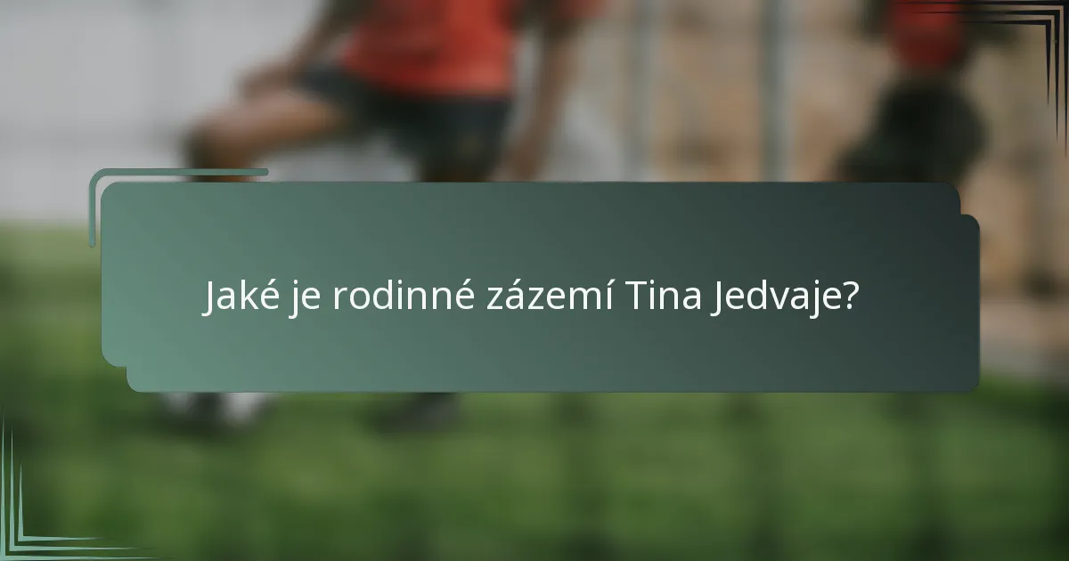 Jaké je rodinné zázemí Tina Jedvaje?