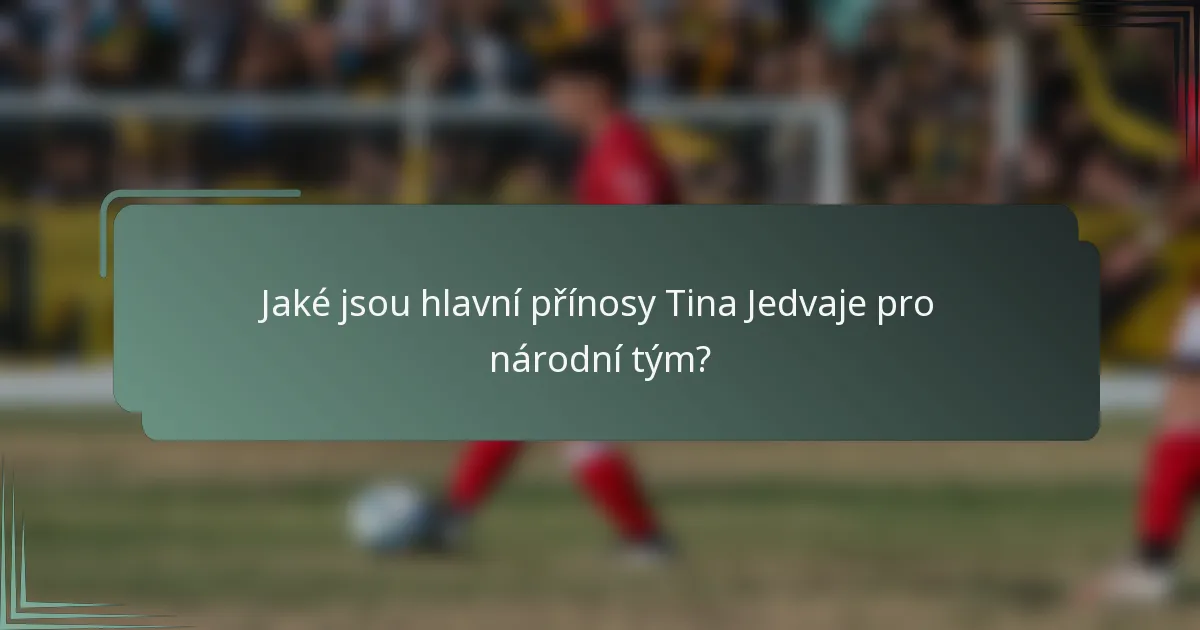 Jaké jsou hlavní přínosy Tina Jedvaje pro národní tým?