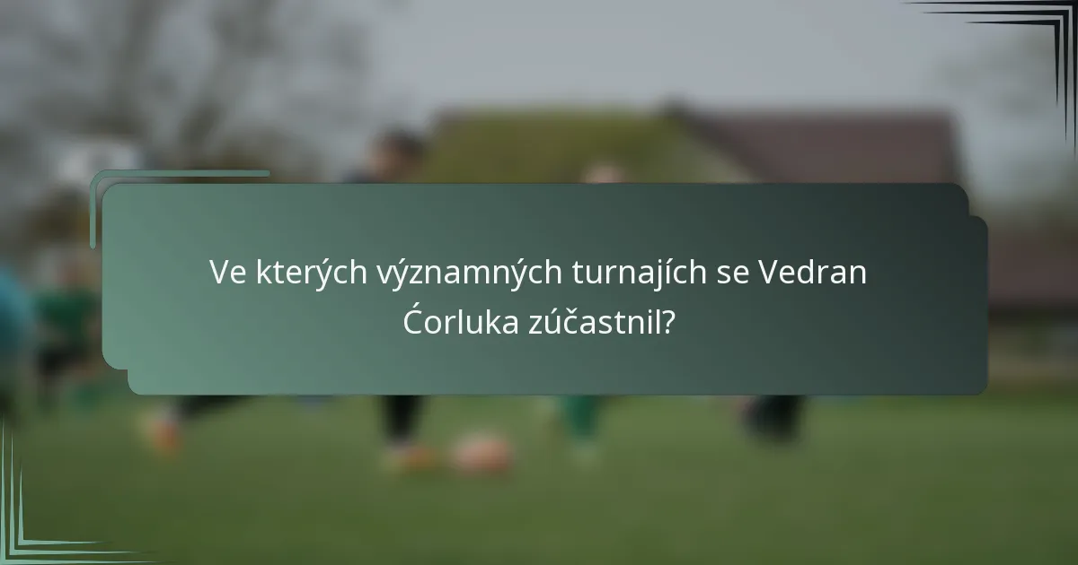 Ve kterých významných turnajích se Vedran Ćorluka zúčastnil?