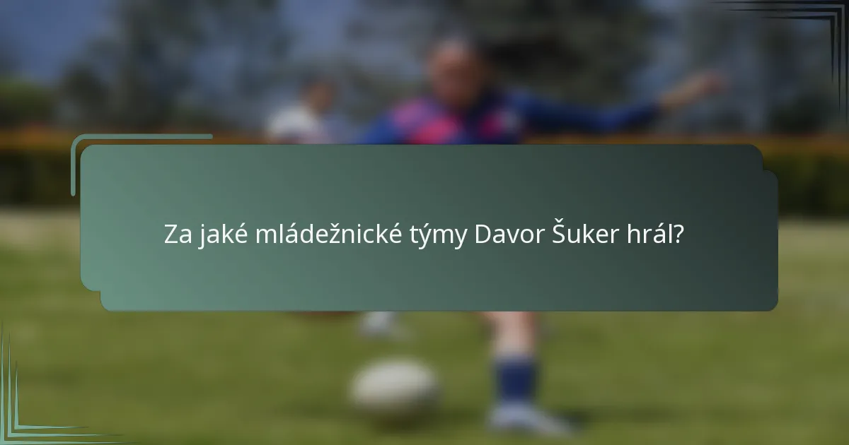 Za jaké mládežnické týmy Davor Šuker hrál?